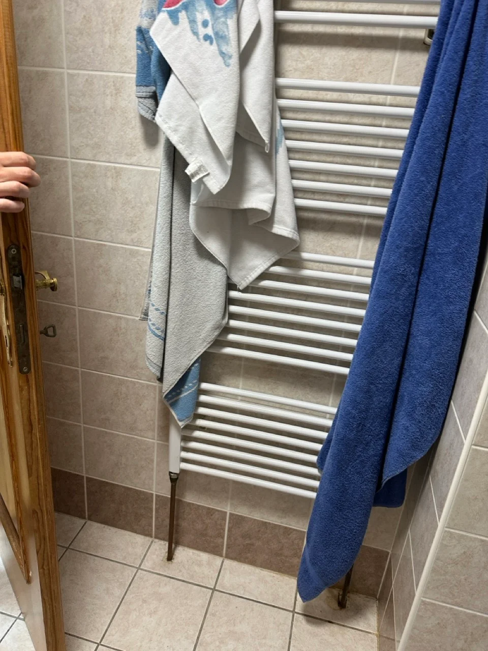 Původní koupelna s bílým topným žebříkem a ručníky